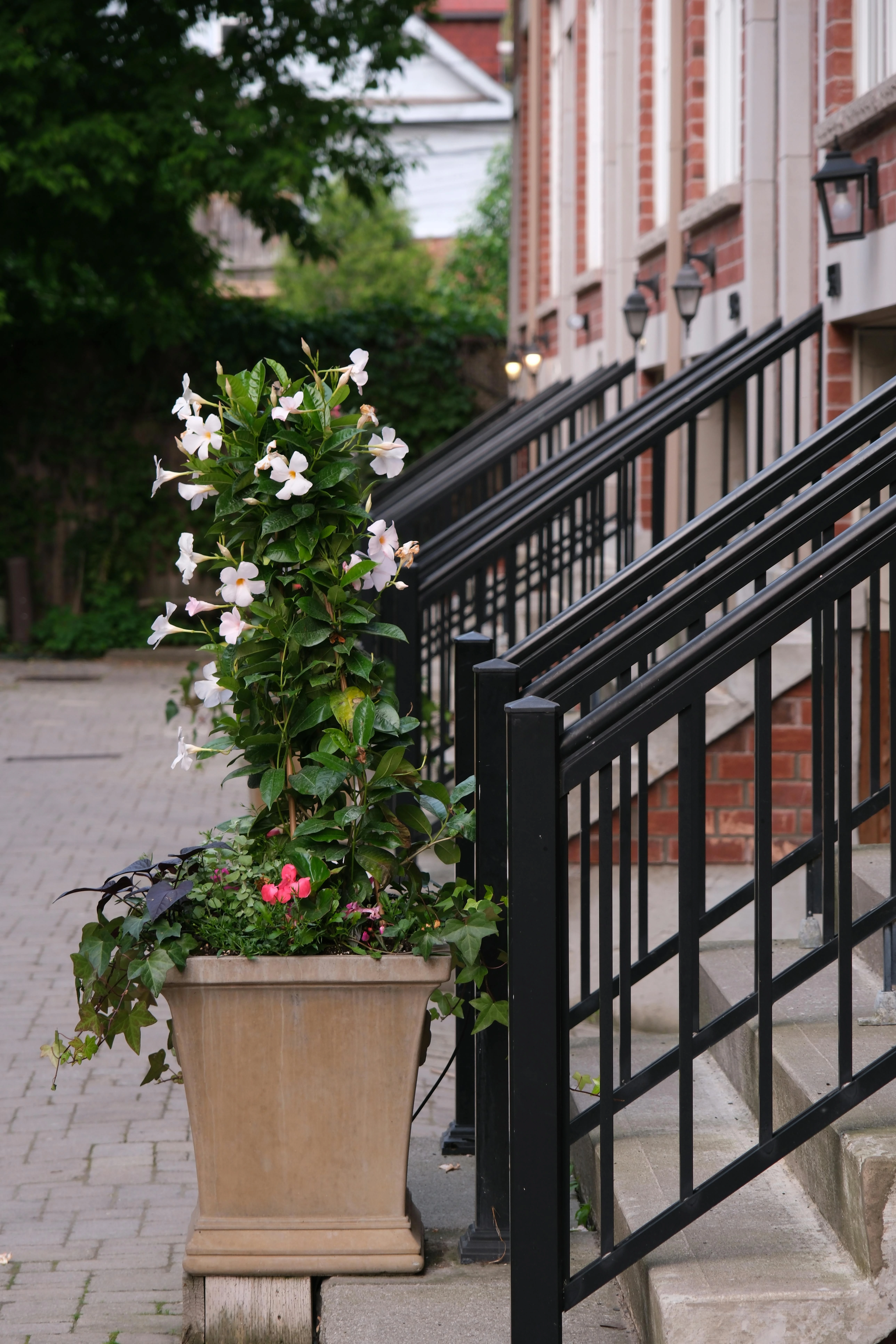 Wrought iron staircase railing with intricate scrollwork 